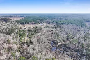 1202 County Rd 1099, Wiergate, TX 75977 - Photo 18