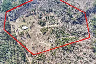 1202 County Rd 1099, Wiergate, TX 75977 - Photo 2