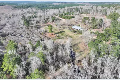 1202 County Road 1099, Wiergate, TX 75977 - Photo 22