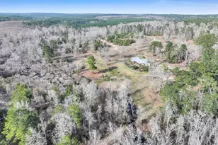 1202 County Rd 1099, Wiergate, TX 75977 - Photo 22