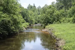 1202 County Rd 1099, Wiergate, TX 75977 - Photo 16