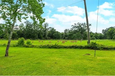 17126 Hamill Drive, Rosharon, TX 77583 - Photo 42