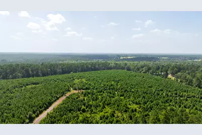 Tbd 1 Sandy Creed Rd, Zavalla, TX 75980 - Photo 10