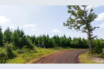 Tbd 1 Sandy Creed Rd, Zavalla, TX 75980 - Photo 4