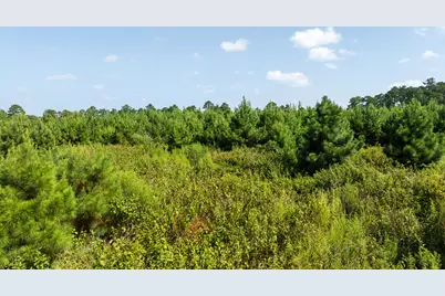 Tbd 1 Sandy Creed Rd, Zavalla, TX 75980 - Photo 12
