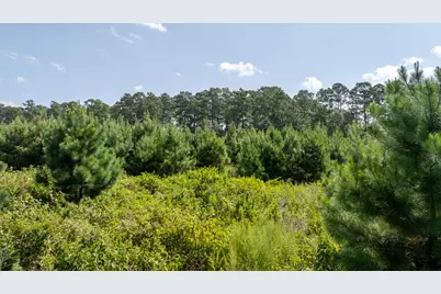 Tbd 1 Sandy Creed Rd, Zavalla, TX 75980 - Photo 14