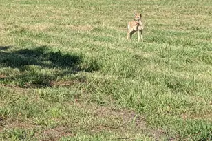 0000 Cr 154, Alvin, TX 77511 - Photo 12