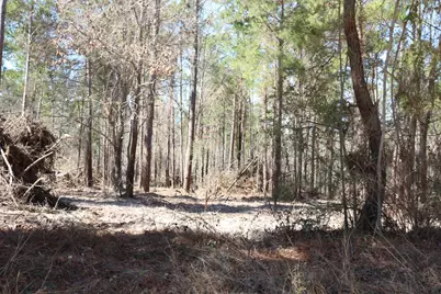 12-1 N Hanson Road, Onalaska, TX 77360 - Photo 38