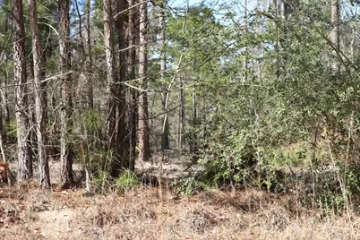 12-1 N Hanson Road, Onalaska, TX 77360 - Photo 6