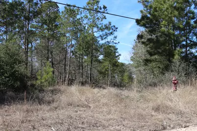 12-1 N Hanson Road, Onalaska, TX 77360 - Photo 14