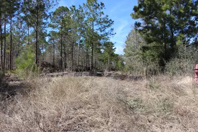 12-1 N Hanson Road, Onalaska, TX 77360 - Photo 22