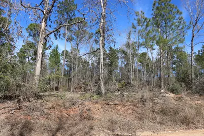 12-1 N Hanson Road, Onalaska, TX 77360 - Photo 30