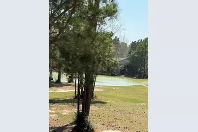 4324 Holstein Drive, Cleveland, TX 77328 - Photo 38