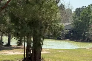 4324 Holstein Dr, Cleveland, TX 77328 - Photo 38