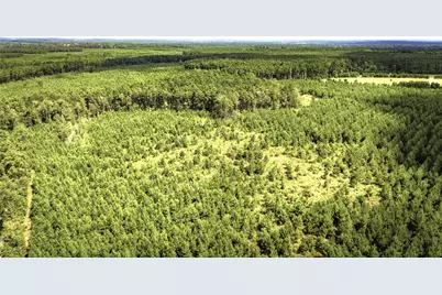 Tbd Stutts Hill Road, Livingston, TX 77351 - Photo 8