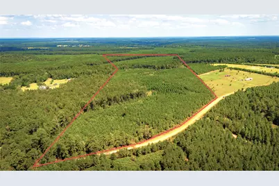 Tbd Stutts Hill Road, Livingston, TX 77351 - Photo 2