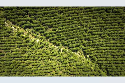 Tbd Stutts Hill Road, Livingston, TX 77351 - Photo 4