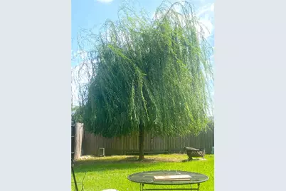 13534 Wembley Heights Drive, Houston, TX 77049 - Photo 32