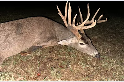 165 Ac Turner Ln, Franklin, TX 77856 - Photo 18