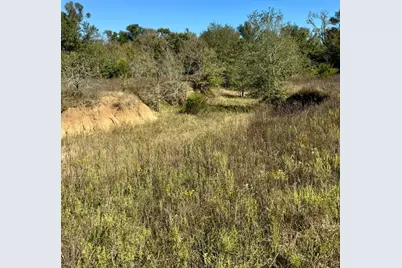 165 Ac Turner Ln, Franklin, TX 77856 - Photo 14