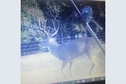 165 Ac Turner Ln, Franklin, TX 77856 - Photo 34