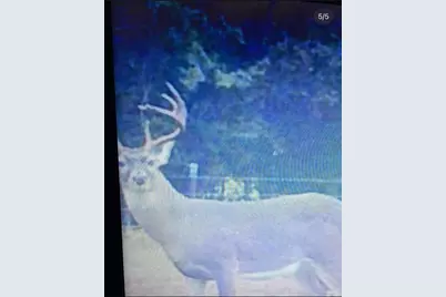 165 Ac Turner Ln, Franklin, TX 77856 - Photo 30