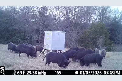 165 Ac Turner Ln, Franklin, TX 77856 - Photo 4