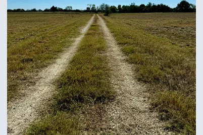 165 Ac Turner Ln, Franklin, TX 77856 - Photo 6