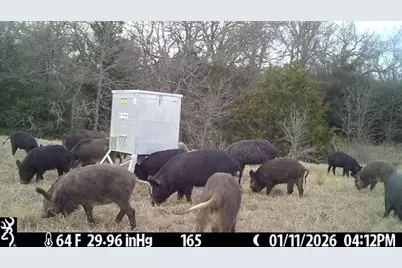 165 Ac Turner Ln, Franklin, TX 77856 - Photo 40