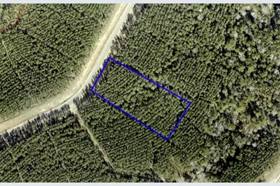 16053 Forest Mill Road, Willis, TX 77378 - Photo 2