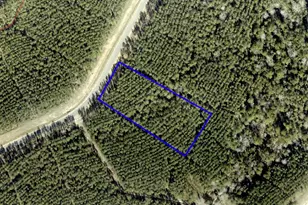 16053 Frst Ml Rd, Willis, TX 77378 - Photo 2