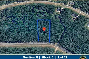 16053 Frst Ml Rd, Willis, TX 77378 - Photo 1