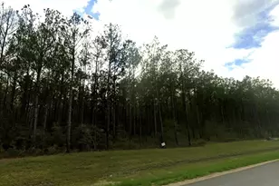 16053 Frst Ml Rd, Willis, TX 77378 - Photo 8