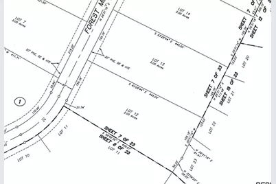 16053 Forest Mill Road, Willis, TX 77378 - Photo 4