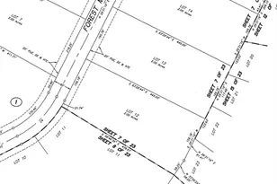 16053 Frst Ml Rd, Willis, TX 77378 - Photo 4