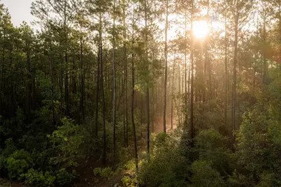 16053 Forest Mill Road, Willis, TX 77378 - Photo 18