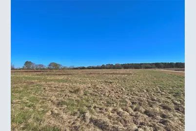 1475 Southfield Trail, Lovelady, TX 75851 - Photo 12