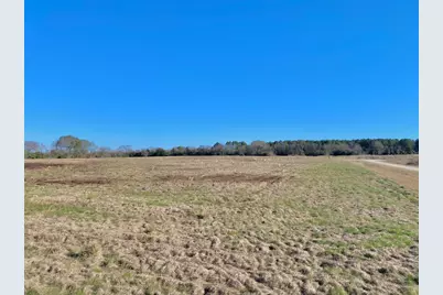 1475 Southfield Trail, Lovelady, TX 75851 - Photo 14