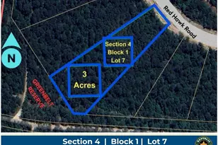 15369 Red Hawk Rd, Willis, TX 77378 - Photo 1