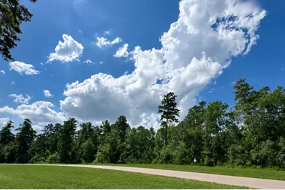 15369 Red Hawk Road, Willis, TX 77378 - Photo 4