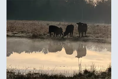 16910 County Line Road, Winnie, TX 77665 - Photo 38