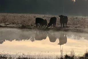 16910 County Line Rd, Winnie, TX 77665 - Photo 38