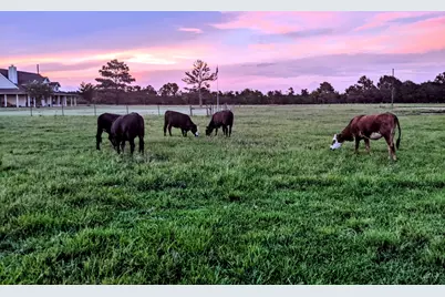 16910 County Line Road, Winnie, TX 77665 - Photo 36
