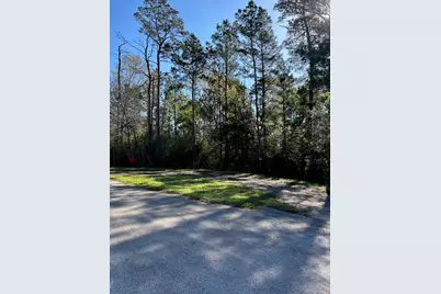 24636 Canterbury Circle, Hockley, TX 77447 - Photo 18