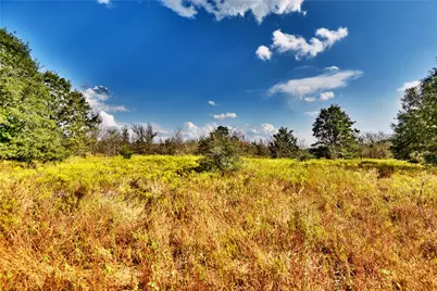 4277 Opersteny Road, Bryan, TX 77808 - Photo 16