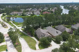 46 Tallgrass Way, Spring, TX 77389 - Photo 46