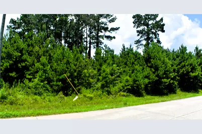 238 County Road 3545, Cleveland, TX 77327 - Photo 4