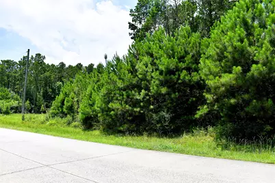 238 County Road 3545, Cleveland, TX 77327 - Photo 6