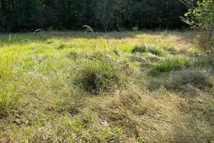 889 Rio Grande, Goodrich, TX 77351 - Photo 14