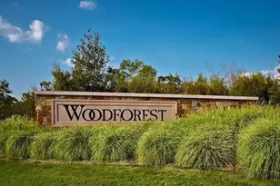 338 Mistletoe Ridge Ct, Montgomery, TX 77316 - Photo 16